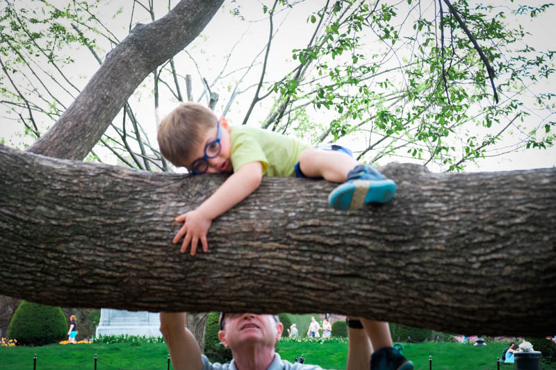 Image result for happy saturday nature images